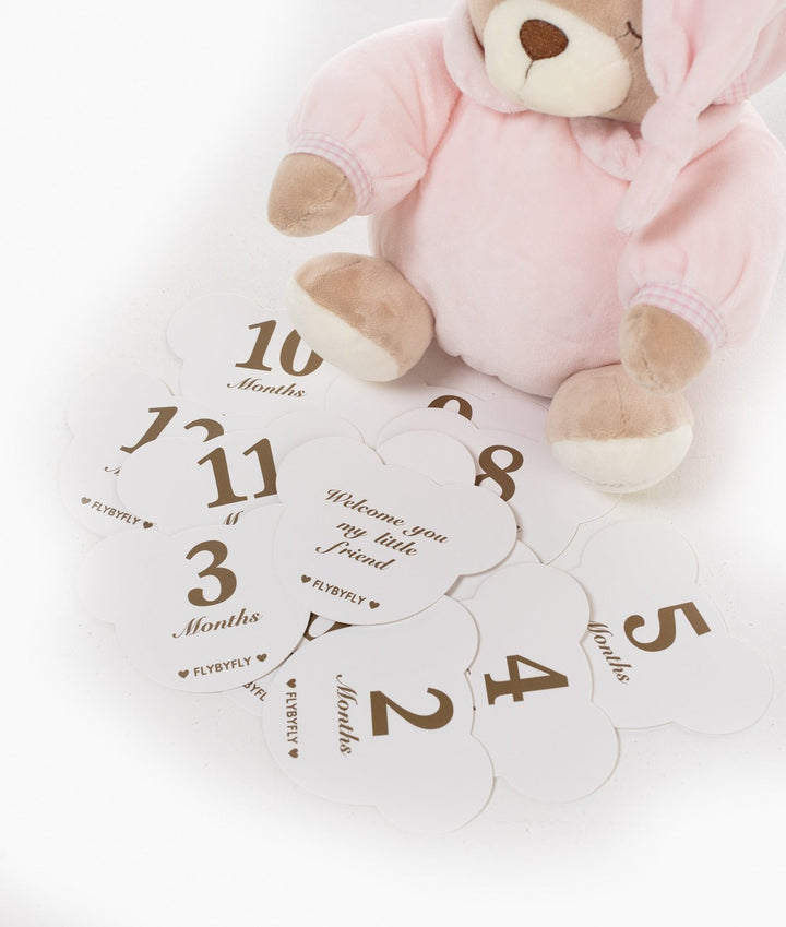 Baby milestone cards in pink